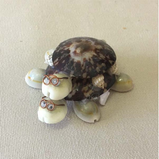 Tortue Double Patelle 7cm lot de 12