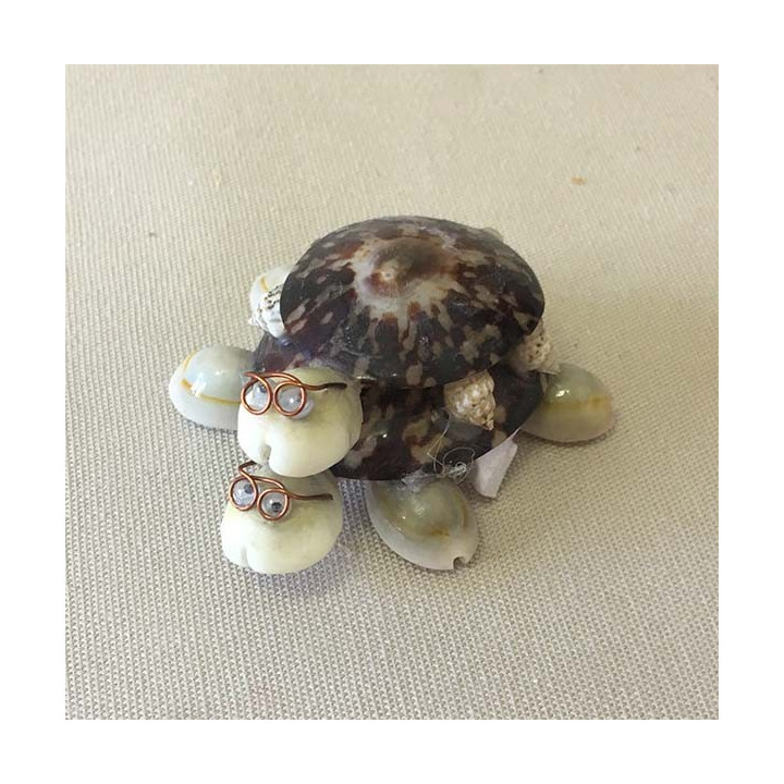 Tortue Double Patelle 7cm lot de 12