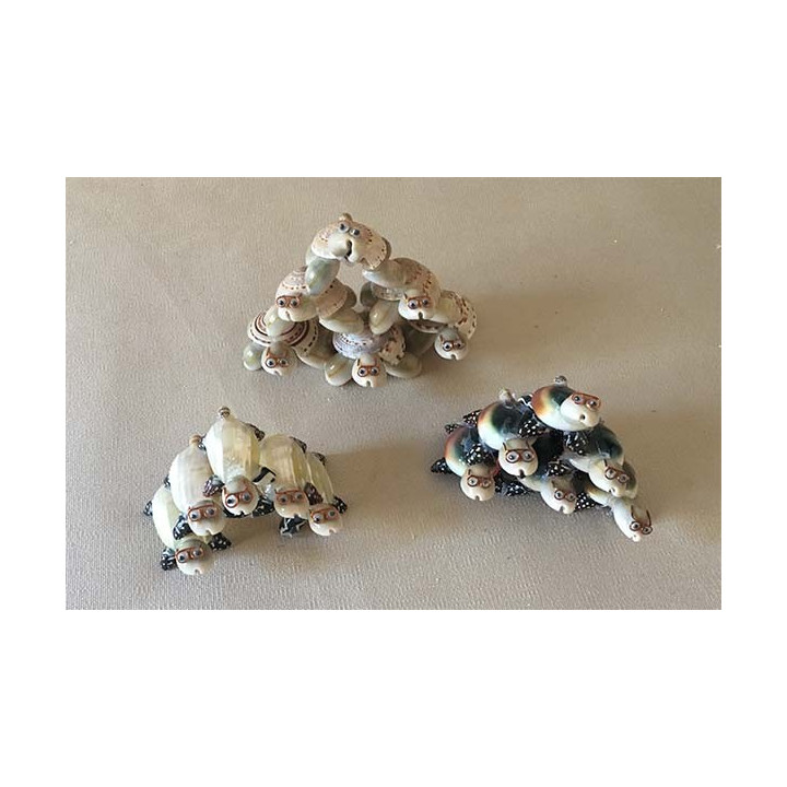 Pyramid Turtles Matched Lot of 12