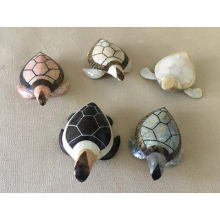 Turtle Mother-of-pearl Models Assorted lot of 12
