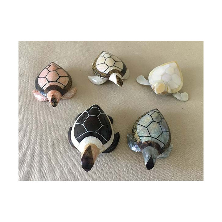 Tortue Nacre Modèles Assortis lot de 12
