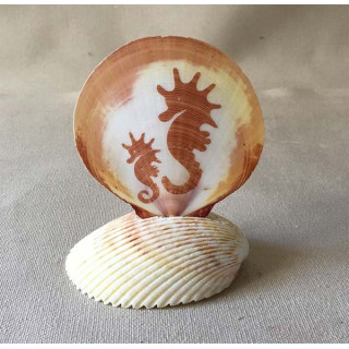 Pecten Decorated on Base lot of 12