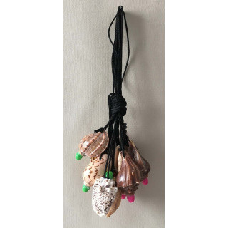 Sifflet dans Coquillages Assortis lot de 12