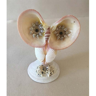 Chouette Codakia 10cm lot de 24