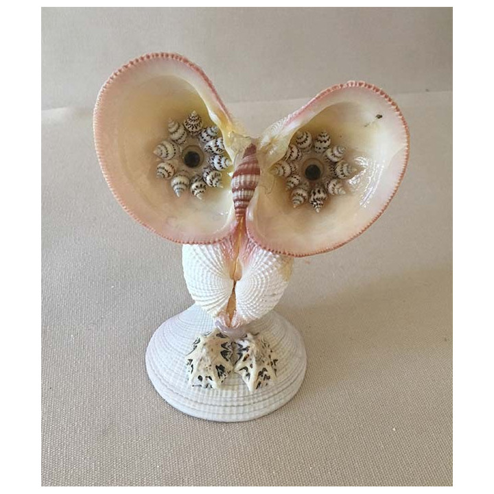 Chouette Codakia 10cm lot de 24