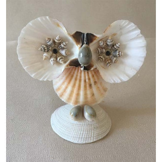 Chouette Pecten 9/10cm lot de 24
