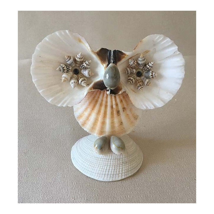 Owl Pecten 9/10cm lot of 24