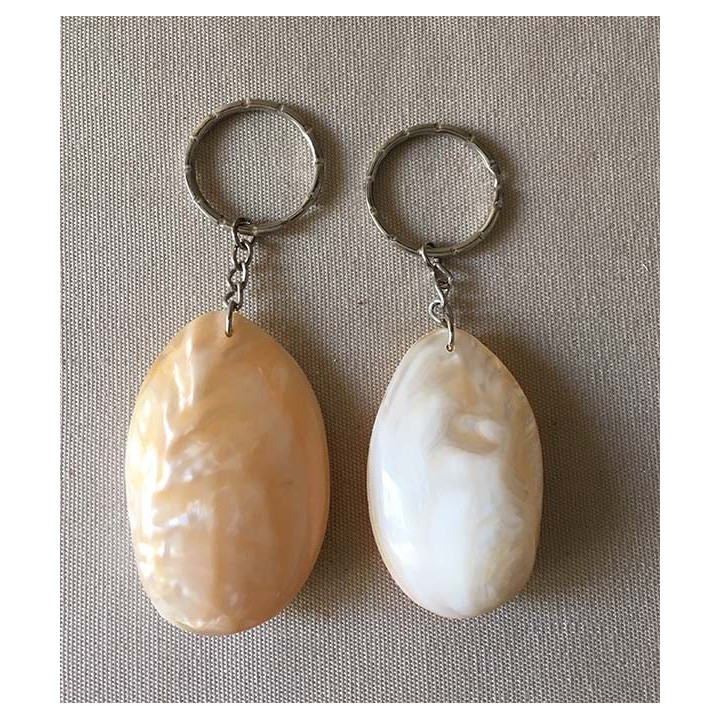 Door key pearly mold lot of 25