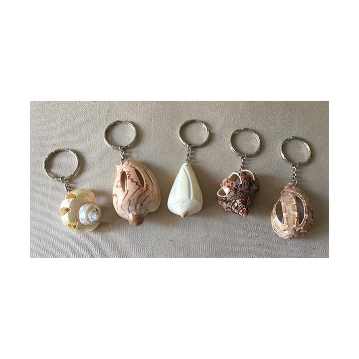 Porte clefs coquillages striés par 24