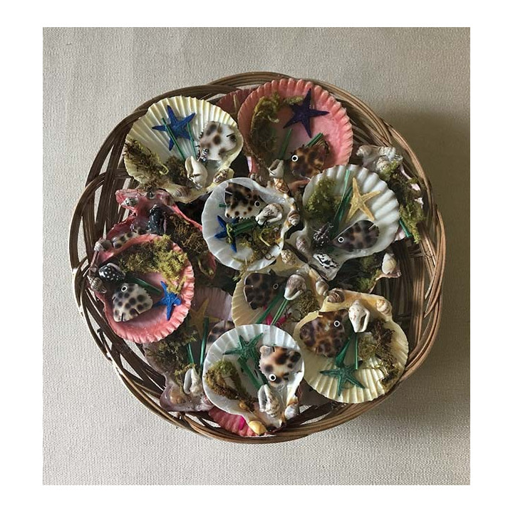 Magnets Pecten Déco Mer dans corbeille lot de 25 