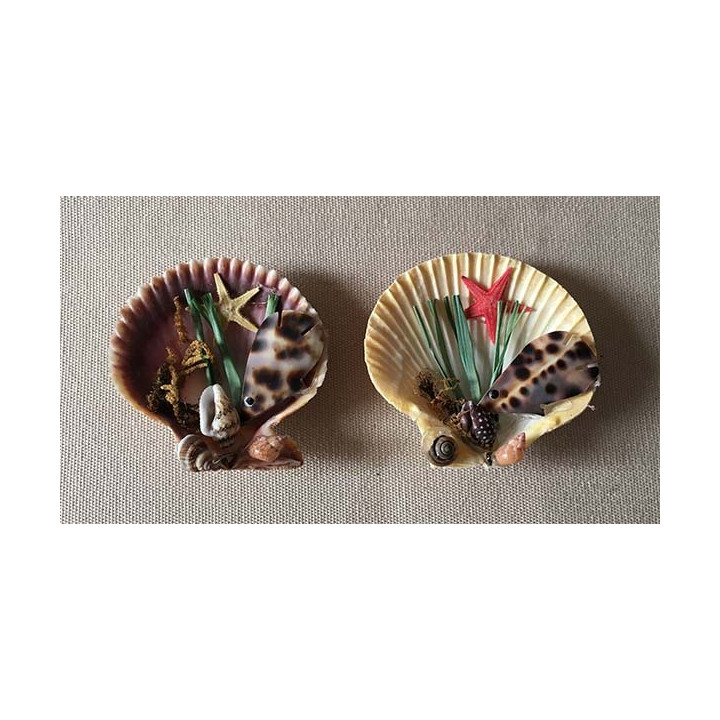 Magnets Pecten Déco Mer dans corbeille lot de 25 