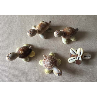 Magnets Turtle Shells lot of 10