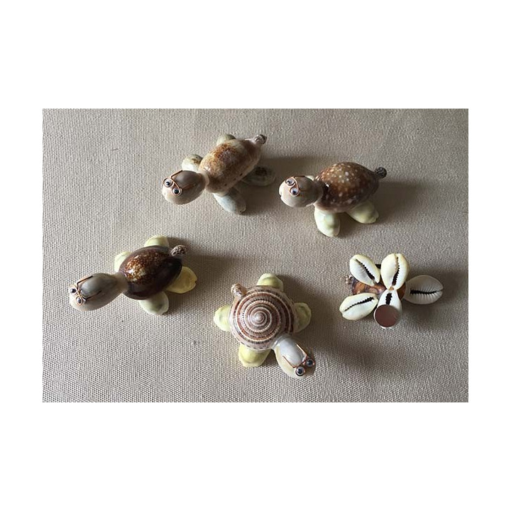 Magnets Turtle Shells lot of 10