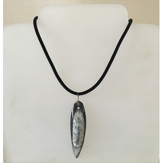 Marine Fossil pendant on Cordon lot of 12