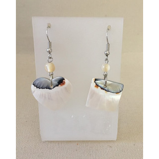 Boucles d'oreilles Crochet Nautile lot de 6