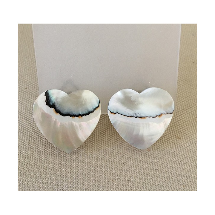 Clip Heart Nautile Earrings Batch of 6