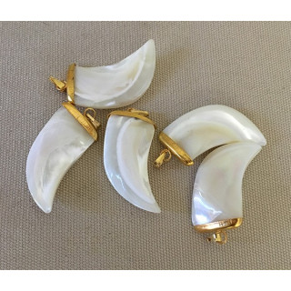 Nacre Trocha Dent Large Golden Mount pendant lot of 25