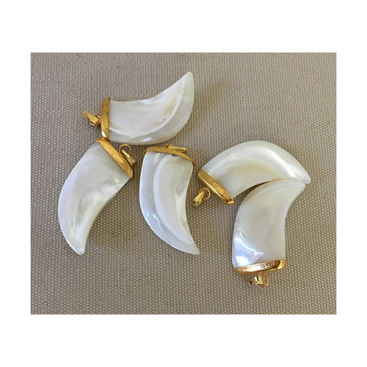 Nacre Trocha Dent Large Golden Mount pendant lot of 25