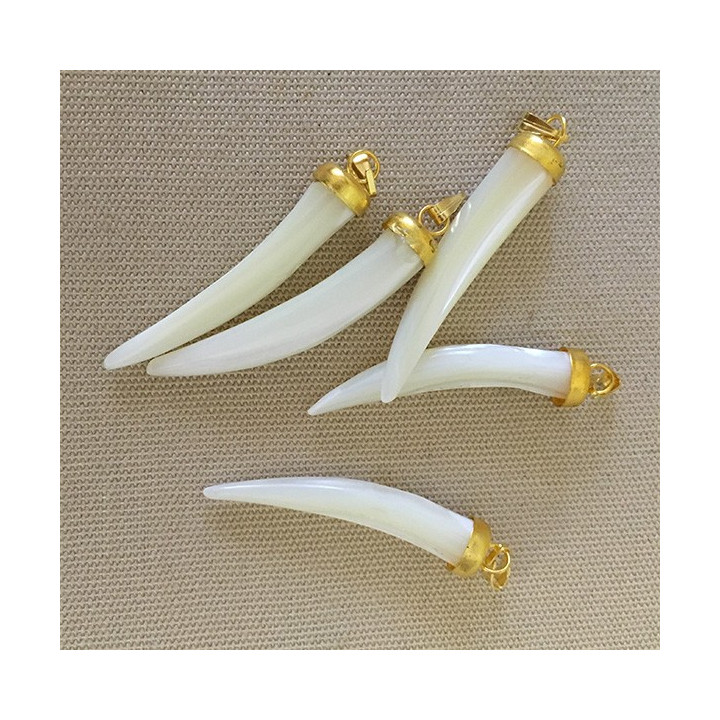 Nacre Trocha Dent Fine Golden Mount pendant lot of 25