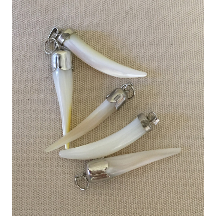 Pendentif Nacre Trocha Dent Fine Monture Argentée lot de 25