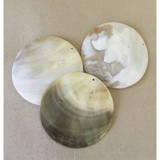 Nacre Shell pendant Perce 6cm lot of 12