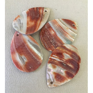 Abalone Tear 42mm pendant batch of 10