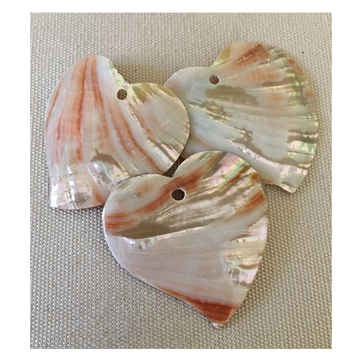 Pendentif Coeur Abalone 40mm lot de 10
