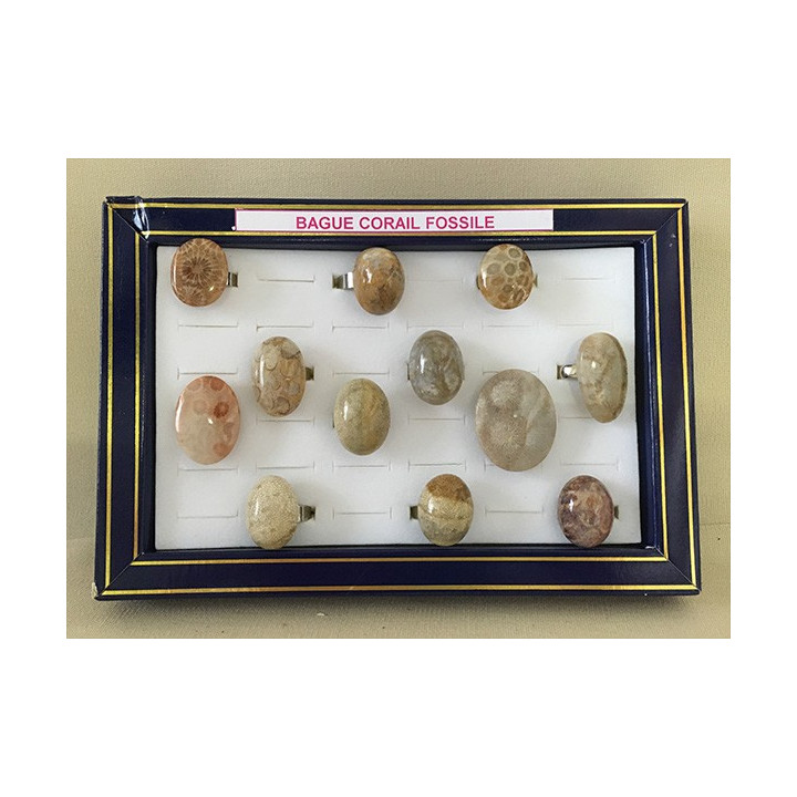 Bague réglable Corail Fossile lot de 12