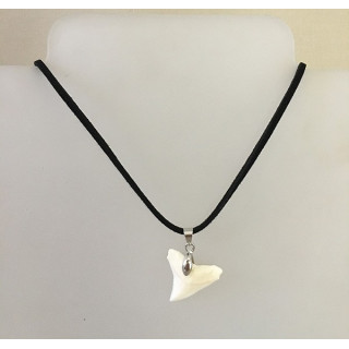 Triangle Shark Tooth 22/25mm on Cordon lot of 12