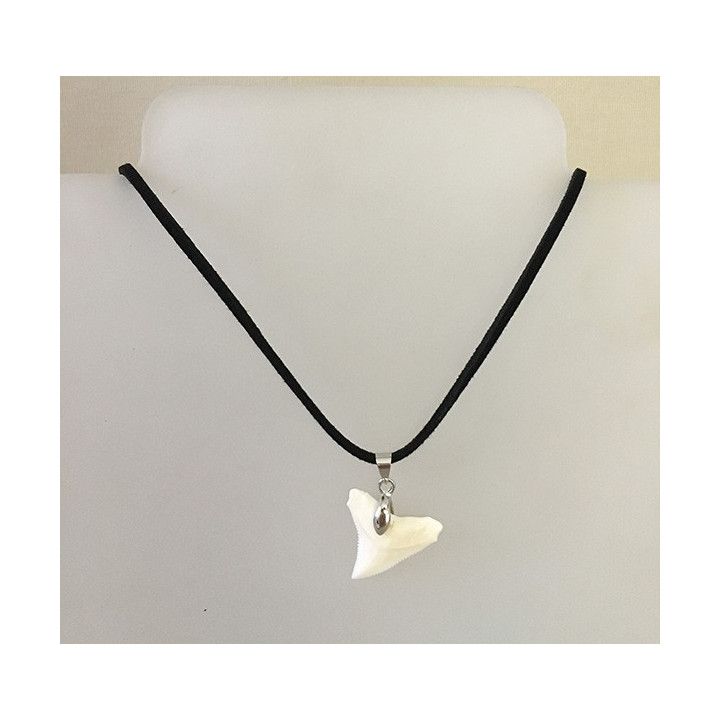 Dent de Requin Triangle 22/25mm sur Cordon lot de 12