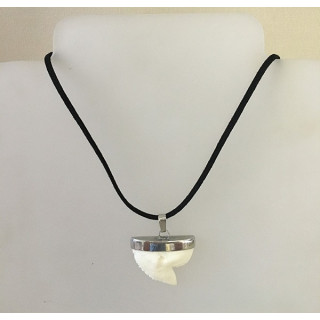 Dent de Requin Tigre Résine 31/35mm Monture métal sur Cordon lot de 3