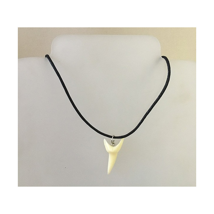 Dent de Requin Résine 3 formes sur Cordon lot de 6