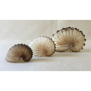 Argonaut Hians 5/7cm by 3