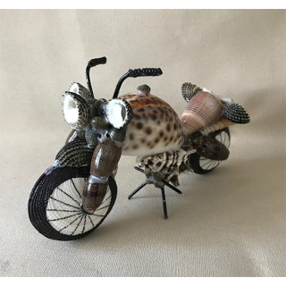 Motorcycle in seashells