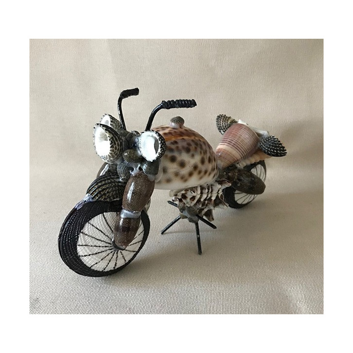 Motorcycle in seashells