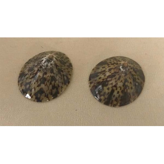 Polished limpet 5/7cm by 12