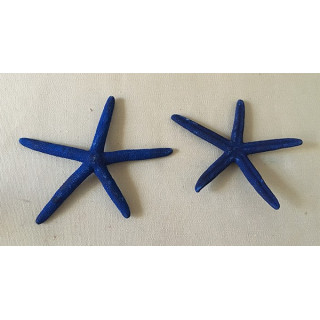 Star long blue arm 8/10cm by 25