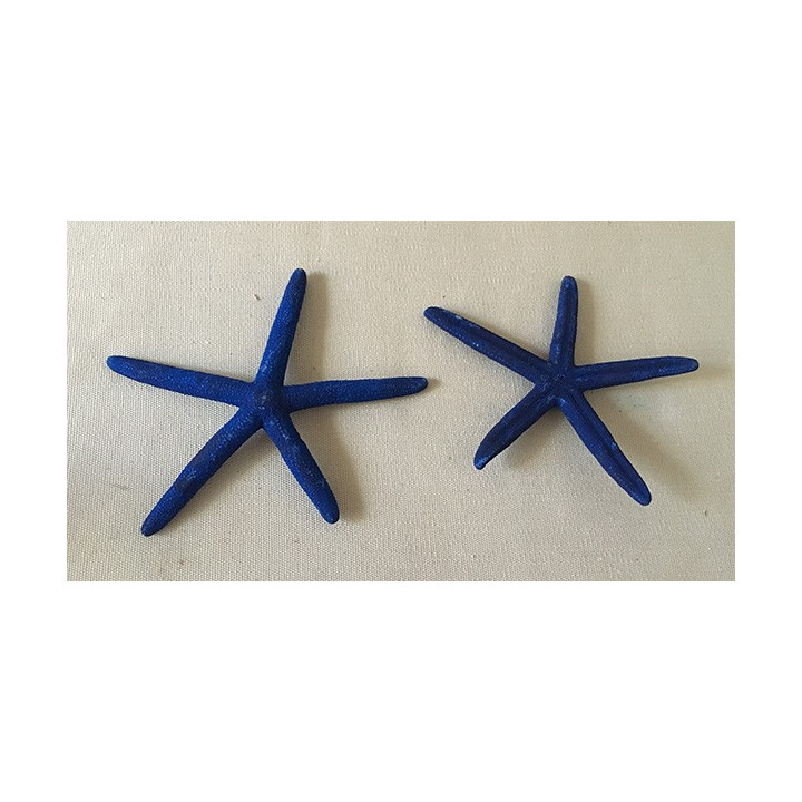 Etoile long bras bleu 8/10cm par 25