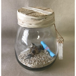 Round sand and seashells 10cmx8cm diam by 12