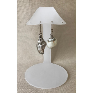 Silver border shell earrings by 12