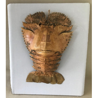 Cigale de mer naturalisée 12-16cm par 3