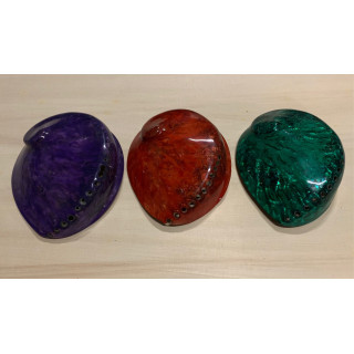 Abalone rufescens couleurs assorties 13/15cm par 3