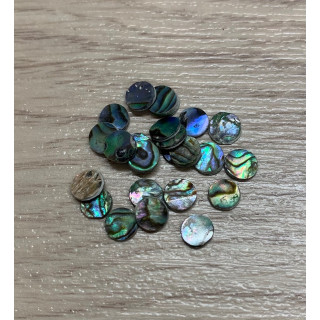 Rond Paua Diamètre 6mm lot de 12