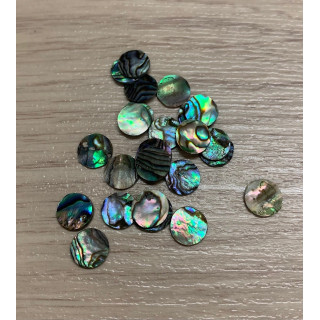 Rond Paua Diamètre 8mm lot de 12