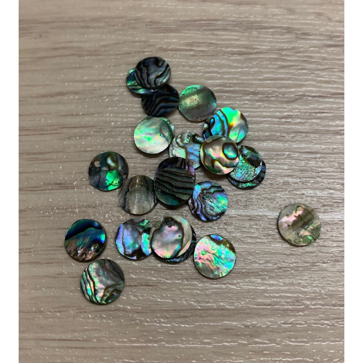 Round Paua Diameter 8mm lot of 12