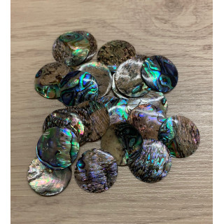 Round Paua Diameter 25mm lot of 12