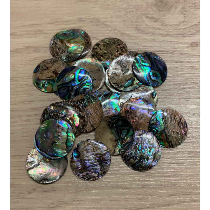 Rond Paua Diamètre 25mm lot de 6