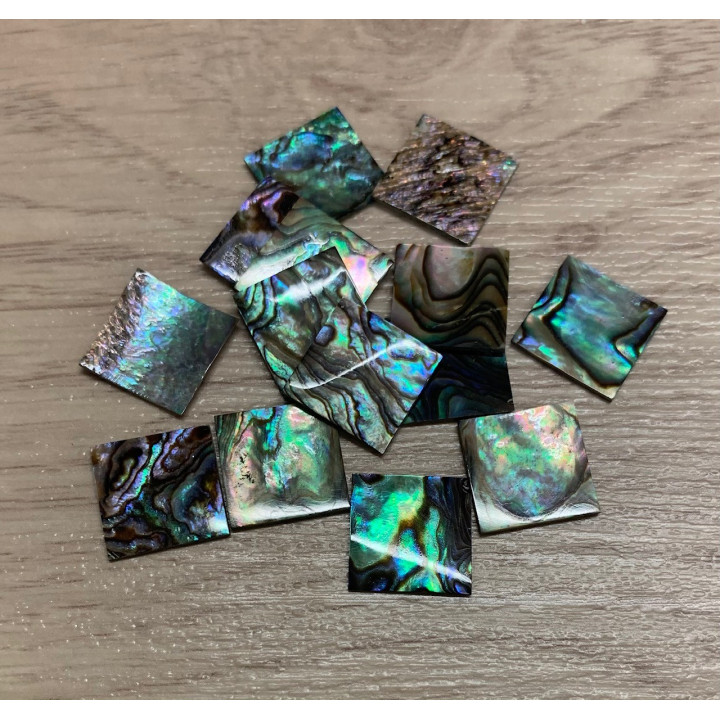 2173 CARRE PAWA 14mm lot of 12