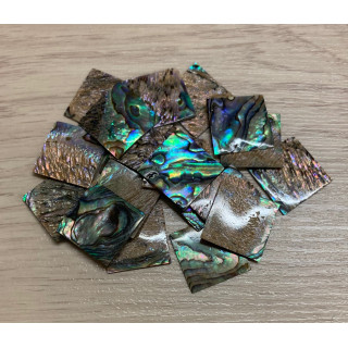 Paua Square 20mm lot of 12
