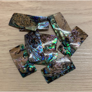 Rectangle Paua 40x20mm lot de 6